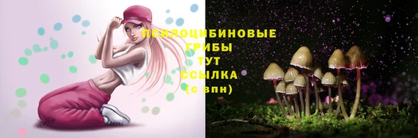 ПСИЛОЦИБИНОВЫЕ ГРИБЫ Балахна