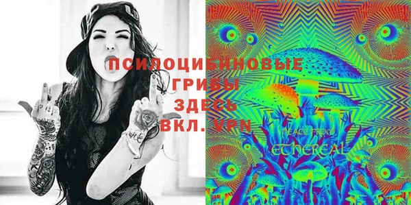 спайс Белокуриха